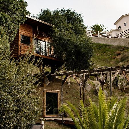 Boskenvid Hotel Boutique, Skypool Valle de Guadalupe Zewnętrze zdjęcie