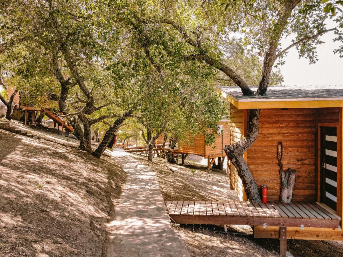 Boskenvid Hotel Boutique, Skypool Valle de Guadalupe Zewnętrze zdjęcie
