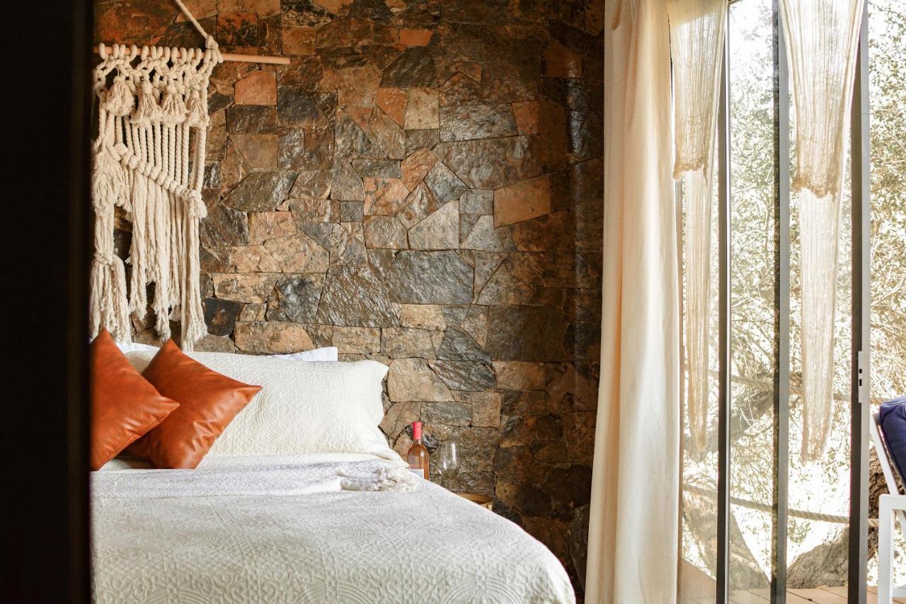 Boskenvid Hotel Boutique, Skypool Valle de Guadalupe Zewnętrze zdjęcie