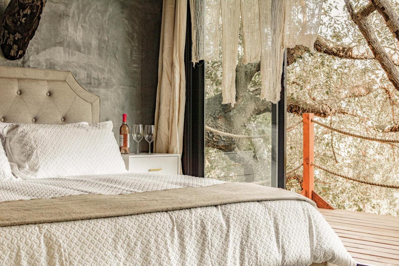 Boskenvid Hotel Boutique, Skypool Valle de Guadalupe Zewnętrze zdjęcie