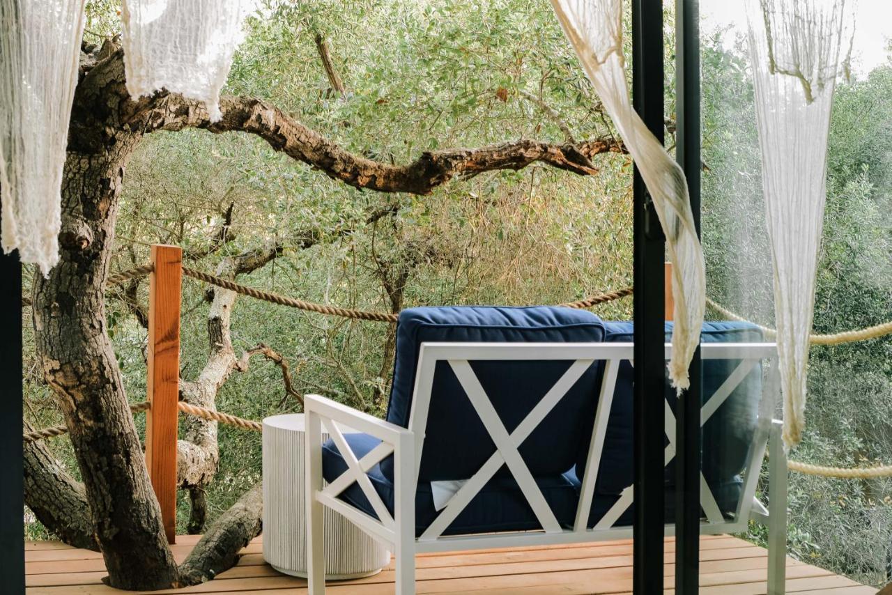 Boskenvid Hotel Boutique, Skypool Valle de Guadalupe Zewnętrze zdjęcie