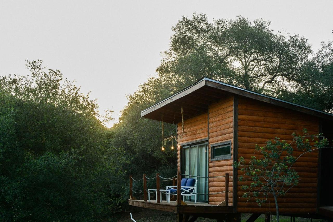 Boskenvid Hotel Boutique, Skypool Valle de Guadalupe Zewnętrze zdjęcie