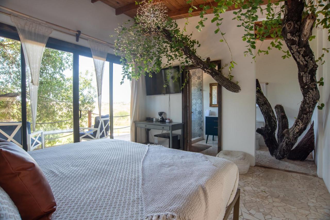 Boskenvid Hotel Boutique, Skypool Valle de Guadalupe Zewnętrze zdjęcie