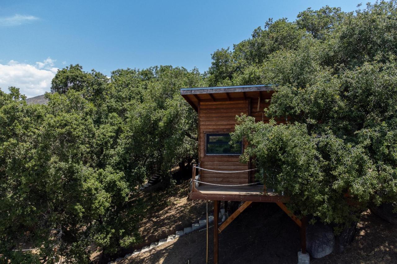 Boskenvid Hotel Boutique, Skypool Valle de Guadalupe Zewnętrze zdjęcie