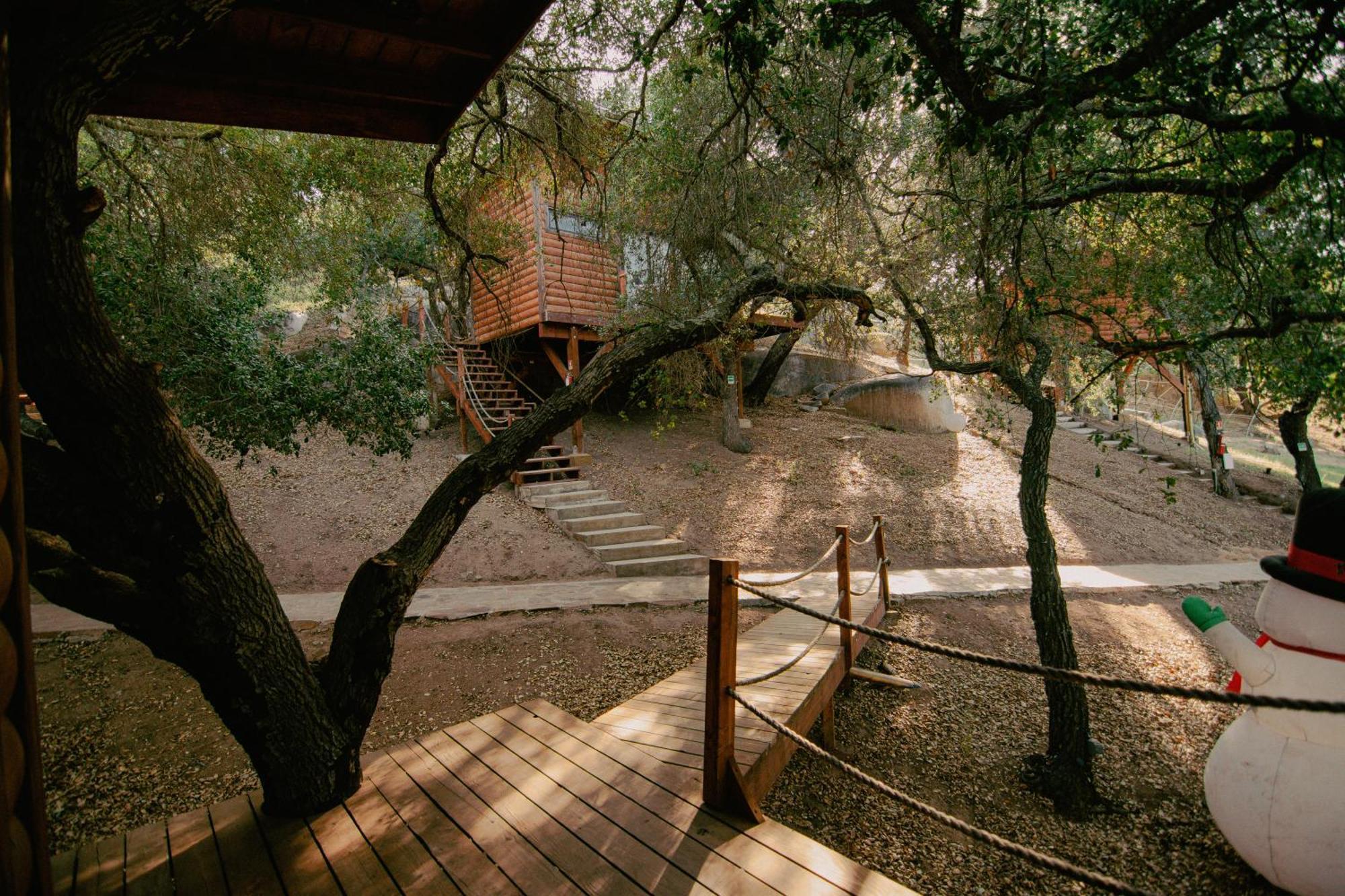 Boskenvid Hotel Boutique, Skypool Valle de Guadalupe Zewnętrze zdjęcie