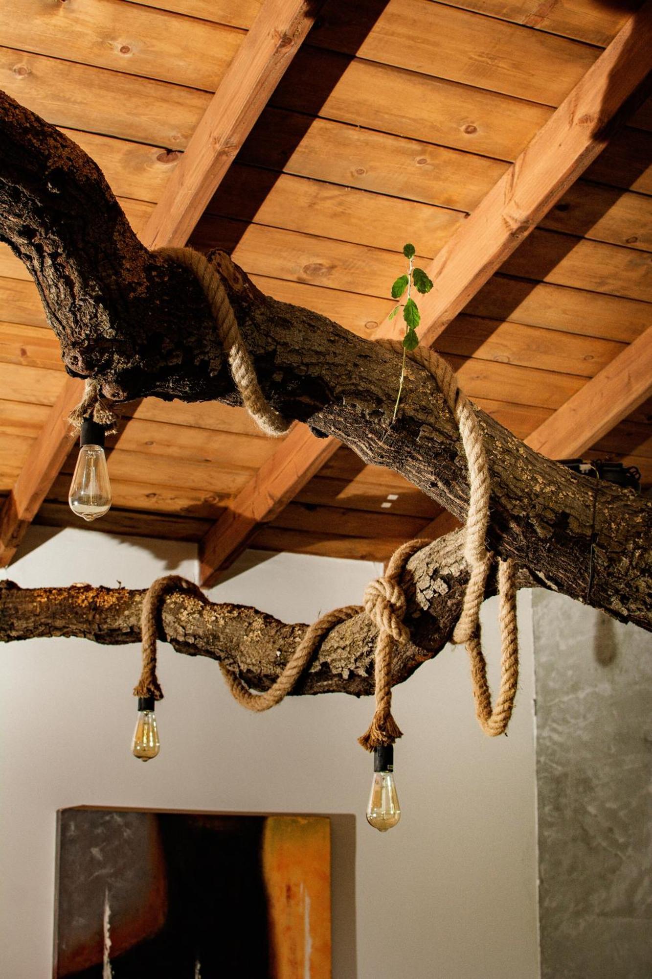Boskenvid Hotel Boutique, Skypool Valle de Guadalupe Zewnętrze zdjęcie