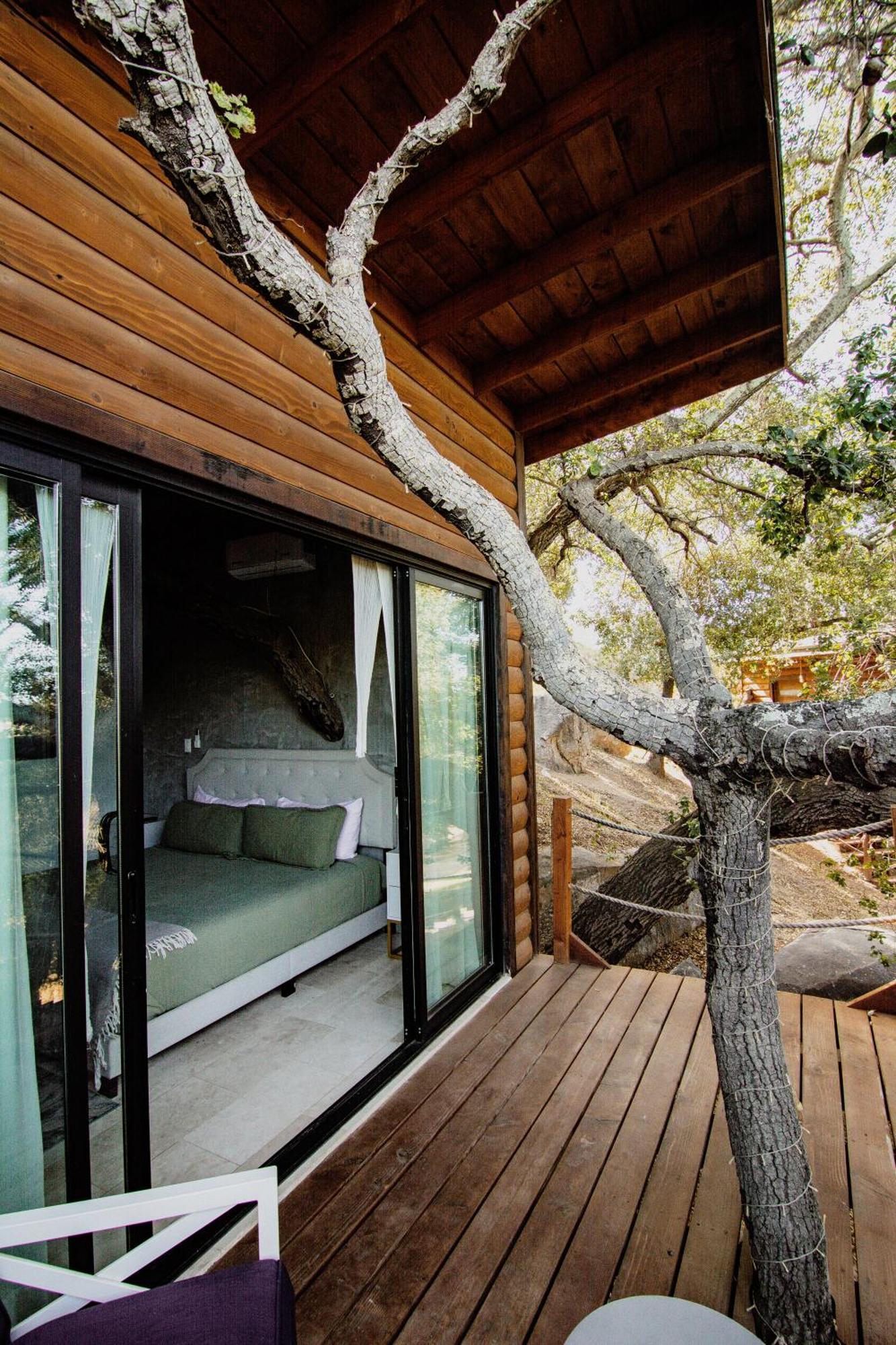 Boskenvid Hotel Boutique, Skypool Valle de Guadalupe Zewnętrze zdjęcie