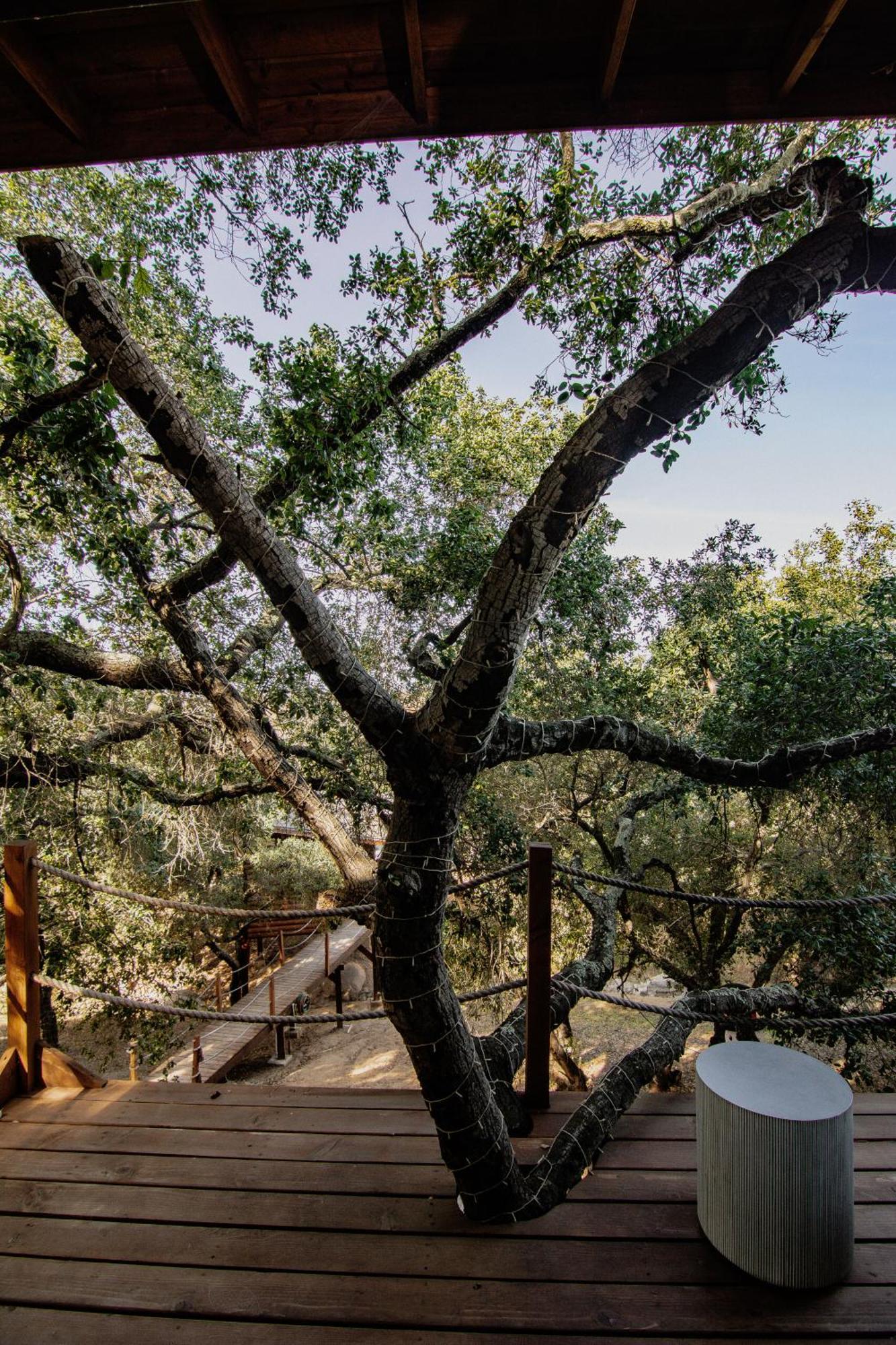 Boskenvid Hotel Boutique, Skypool Valle de Guadalupe Zewnętrze zdjęcie